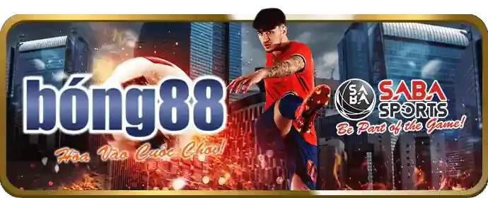 Nền tảng cá cược an toàn